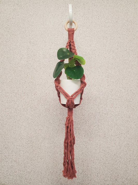 Small Plant Hanger - Classic Colors